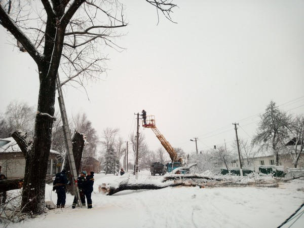 В Великоновоселковском районе спасатели предотвратили падение дерева на дорогу