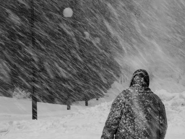 В Донецкой области ожидается дождь, мокрый снег и сильный ветер