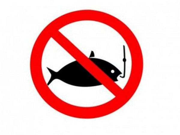 На Донетчине запретят вылов рыбы