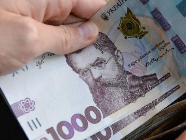 Сколько жителей Великоновоселковского района получат «карантинную» тысячу гривен