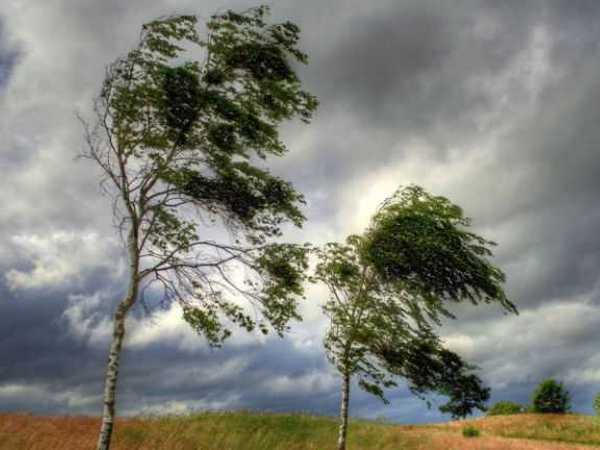 Завтра в Донецкой области ожидается сильный ветер