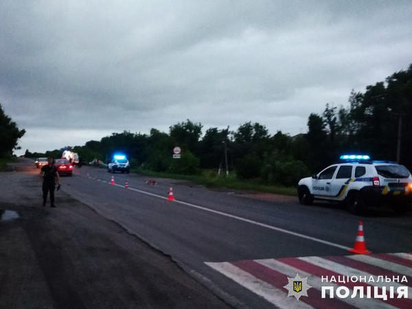 В Марьинском районе автомобиль сбил двух пешеходов
