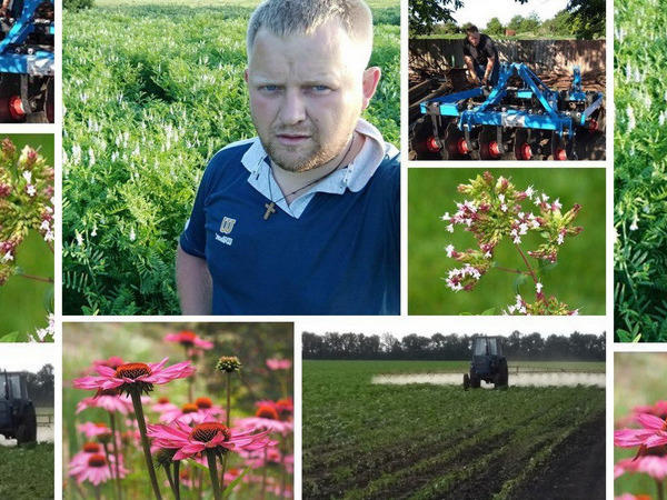 Переселенец из Донецка стал успешным фермером в Великоновоселковском районе
