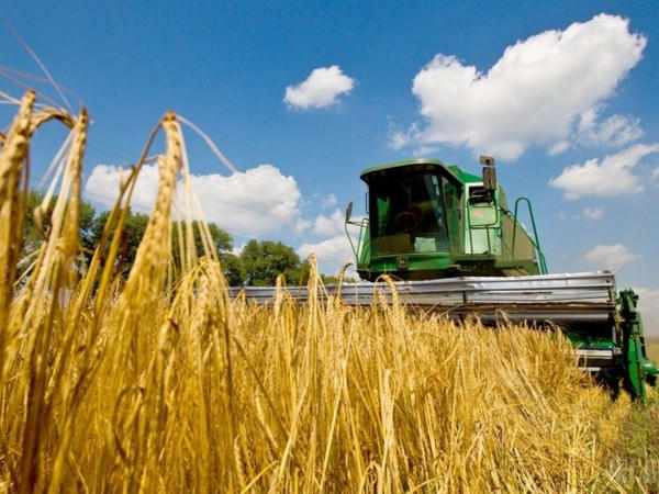 В Марьинском районе завершается уборка ранних зерновых