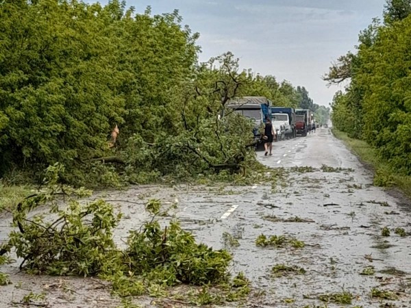 Поваленные деревья и сорванные крыши: непогода натворила бед в Великоновоселковском районе
