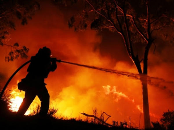 На выходных спасатели боролись с природными пожарами в Марьинском и Великоновоселковском районах