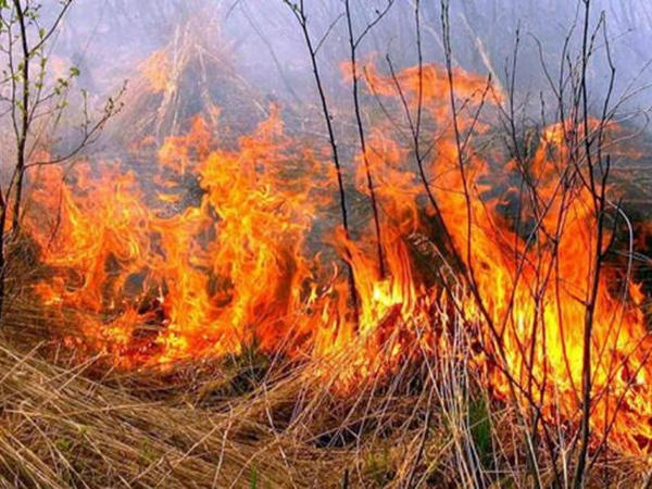 Военные со спасателями потушили два пожара вблизи Марьинки