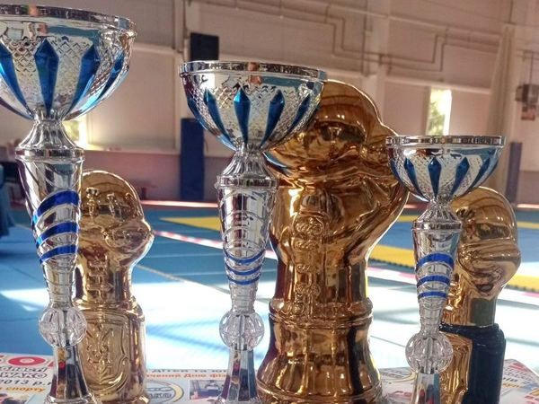 Команда Курахово выиграла Кубок Донецкой области по кикбоксингу