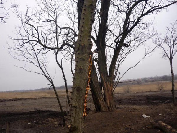 В районе Курахово обнаружен заминированный тайник с оружием и боеприпасами