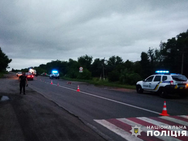 Водитель, который сбил двух пешеходов в Марьинском районе, предстанет перед судом