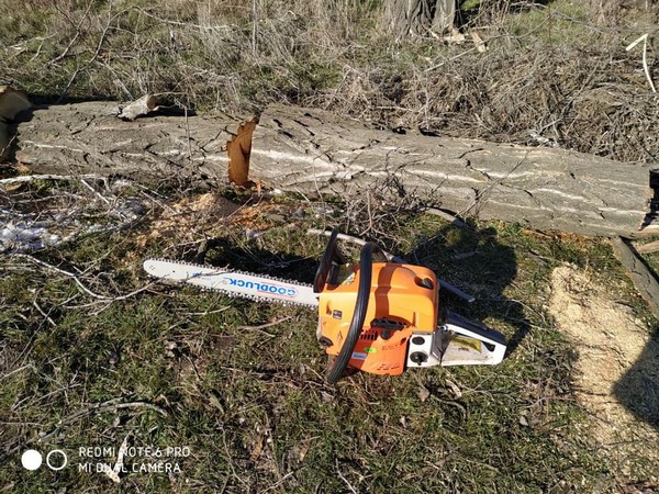 Великоновоселковские полицейские задержали «черного лесоруба», который уничтожал деревья