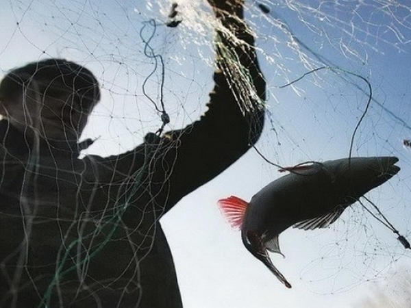 На Кураховском водохранилище поймали браконьера, который нанес ущерб на более чем 10 тысяч гривен