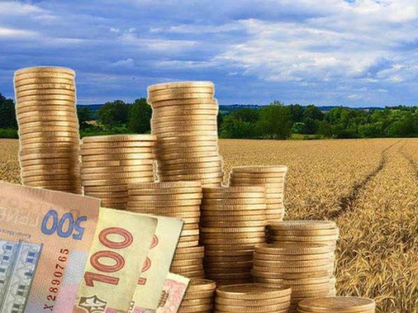 Сельскохозяйственные предприятия Марьинки - лидеры по уплате единого налога на Донетчине