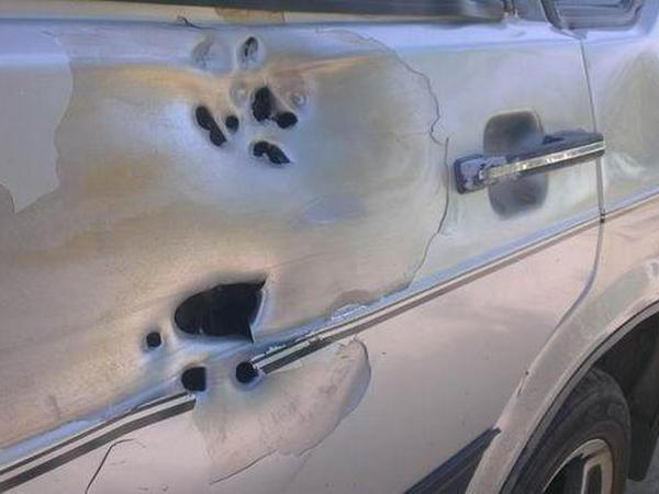 В Марьинском районе боевики обстреляли автомобиль с мирными жителями: есть раненые