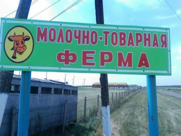 Сергей Сажко: «Люди готовы работать на благо своей громады. Моя задача — поддержать их начинания»