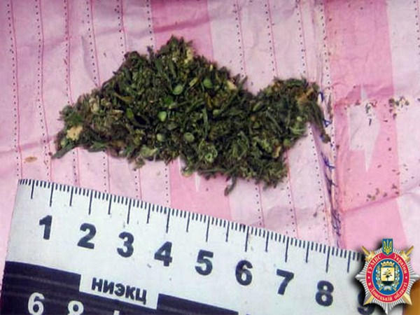 В Красногоровке у 18-летнего парня обнаружили сверток с коноплей