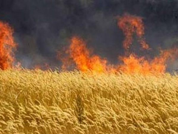 В результате обстрела Марьинского района загорелось поле пшеницы