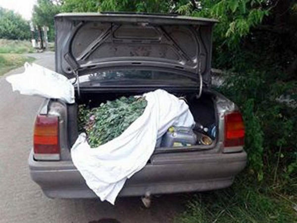 Житель Курахово решил всерьез заняться изготовлением наркотиков