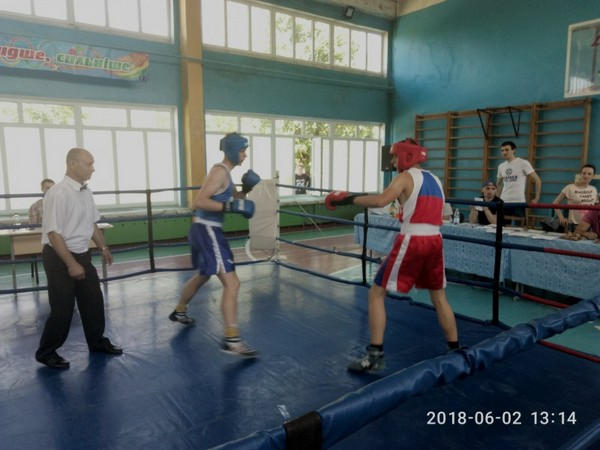 В Угледаре прошел II областной турнир по боксу «Открытый ринг»
