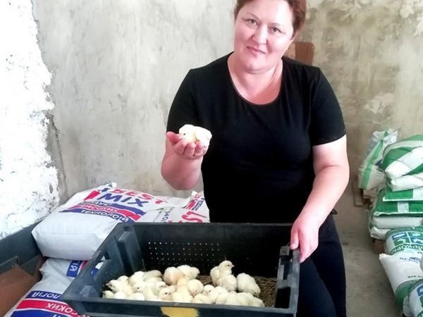Жительница Марьинского района организовала собственный бизнес по разведению цыплят