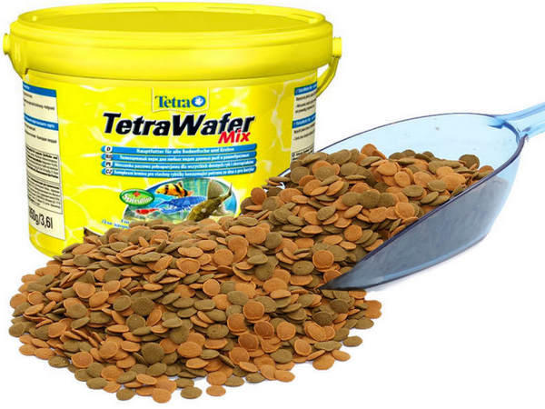 Особенности и преимущества корма для аквариумных рыбок Тетра