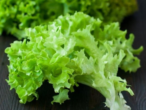 Как выращивать салат?