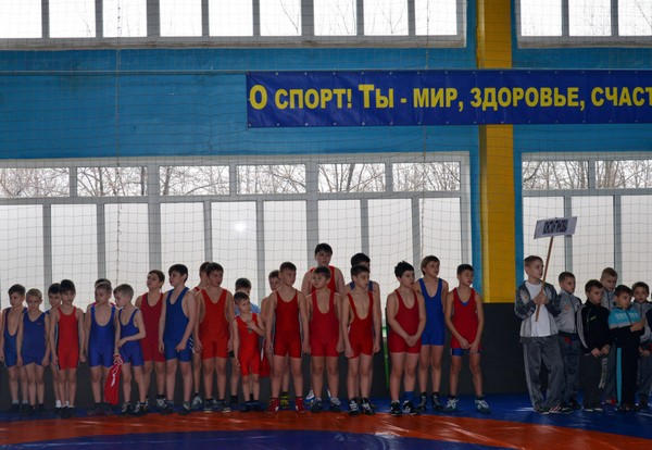 Народный депутат Украины Сергей Сажко открыл турнир по греко-римской борьбе в Угледаре