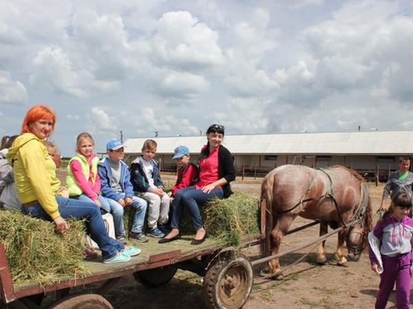 Как дети провели время в пришкольных лагерях Марьинского района