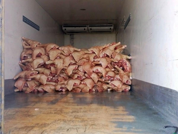 Через Марьинку пытались незаконно провезти на оккупированную территорию 8 тонн мяса