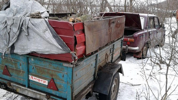 Лесорубы-нелегалы из Марьинки попались «на горячем» в Красногоровке