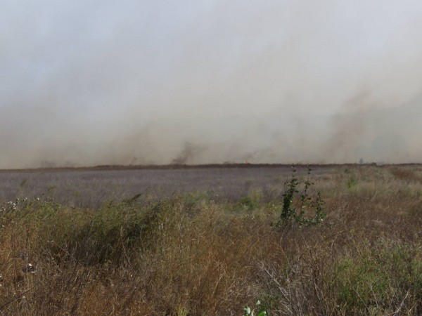 В Марьинском районе горело минное поле