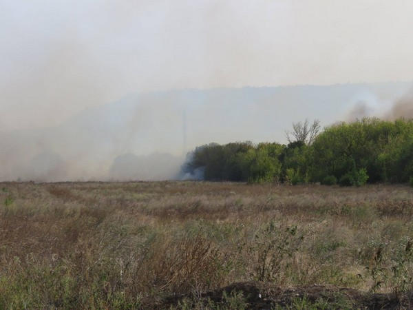 В Марьинском районе горело минное поле