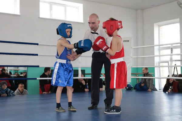 В Марьинке прошли соревнования открытого первенства Донецкой области по боксу