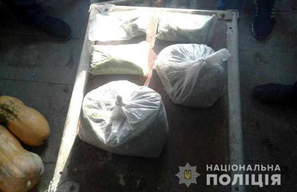 Житель Марьинского района заготовил на зиму около килограмма марихуаны