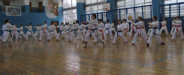 В Курахово устроили мастер-класс для каратистов
