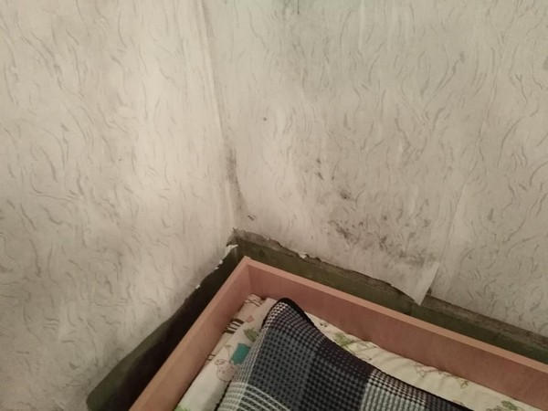 Родители продемонстрировали ужасные условия в одном из детских садов в Курахово
