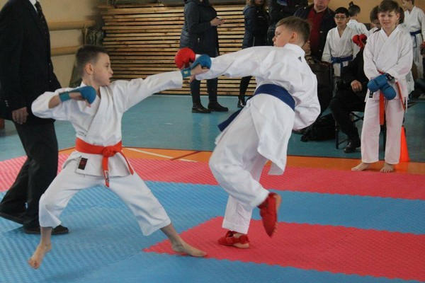 Марьинский район победил в открытом чемпионате Донецкой области по каратэ