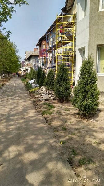 В Курахово продолжаются работы по озеленению города