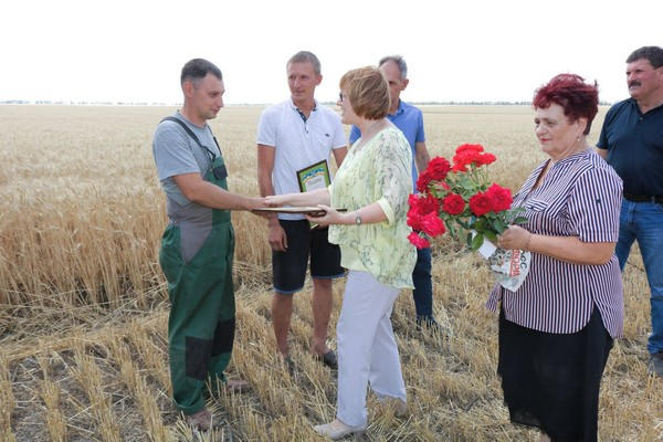 В Марьинском районе механизаторам удалось намолотить первую тысячу тонн зерна