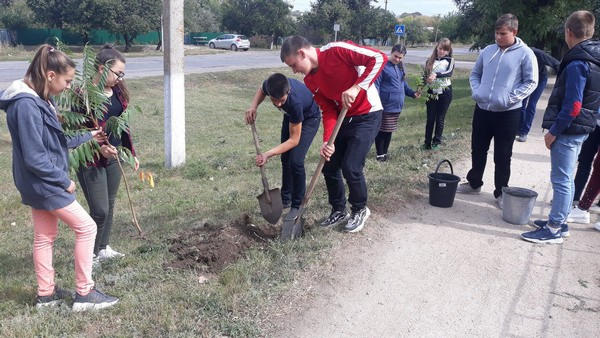 Школьники приняли участие в благоустройстве Великоновоселковского района