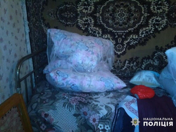 У 90-летнего жителя Великоновоселковского района односельчанка украла около 5 тысяч гривен
