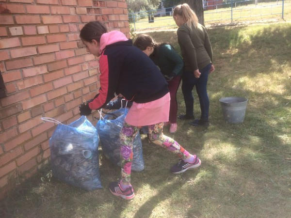 Школьники приняли участие в благоустройстве Великоновоселковского района