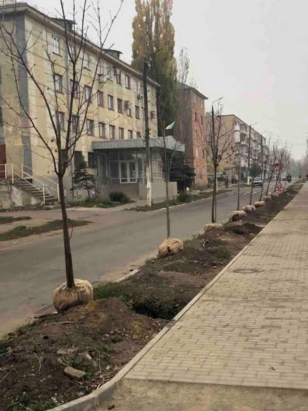 В Курахово продолжаются масштабные работы по озеленению города