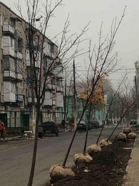 В Курахово продолжаются масштабные работы по озеленению города