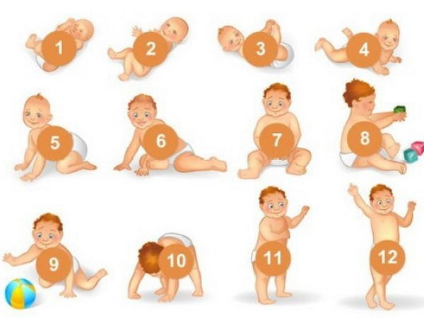 этапы развития младенца до года