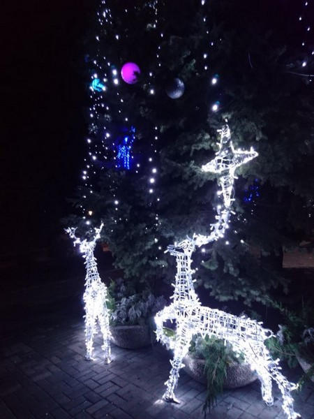На Рождество в Курахово возле городской елки пытались украсть оленя