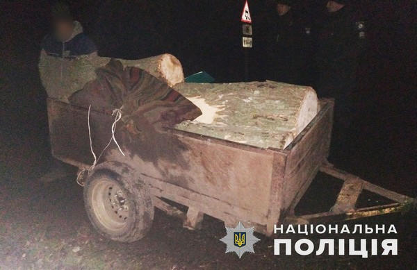 «Черному лесорубу» из Великоновоселковского района полицейские сообщили о подозрении
