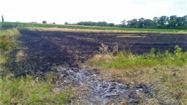 В Великоновоселковском районе сгорело два гектара пшеницы
