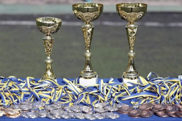 В Курахово определили победителей Кубка Донецкой области по каратэ WKC