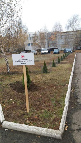 В прифронтовой Марьинке продолжают высаживать деревья